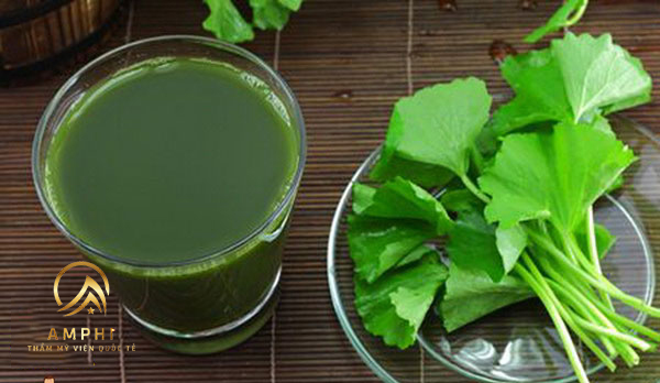 rau diếp cá trị mụn