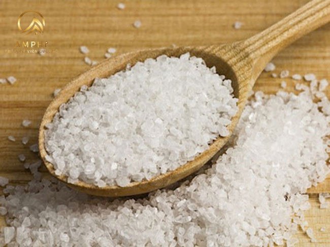 Hướng dẫn cách trị mụn bằng muối đơn giản mà hiệu quả bất ngờ Hướng dẫn cách trị mụn bằng muối đơn giản mà hiệu quả bất ngờ