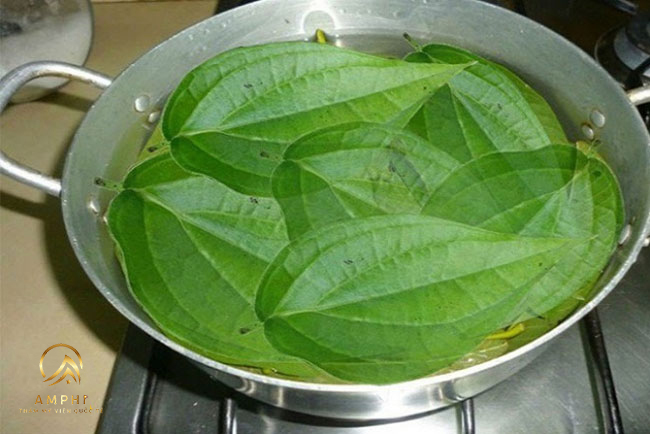 trị nám bằng lá trầu không