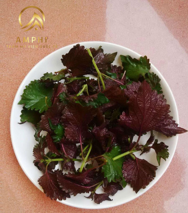 trị nám bằng tía tô