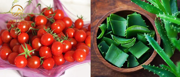 tẩy lông mặt bằng cà chua